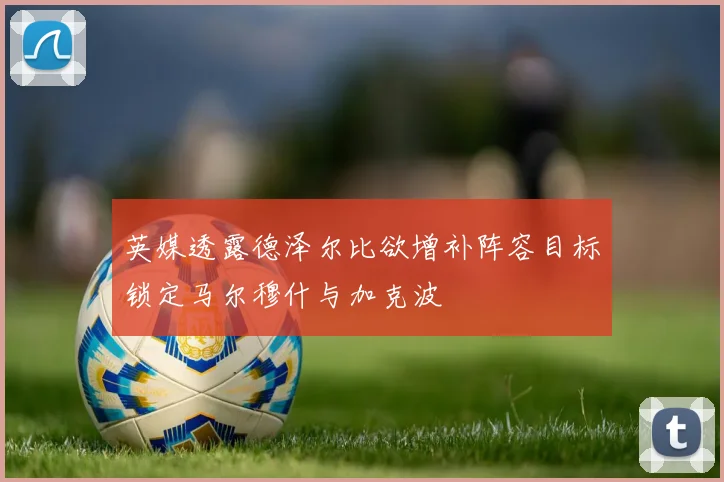 英媒透露德泽尔比欲增补阵容目标锁定马尔穆什与加克波
