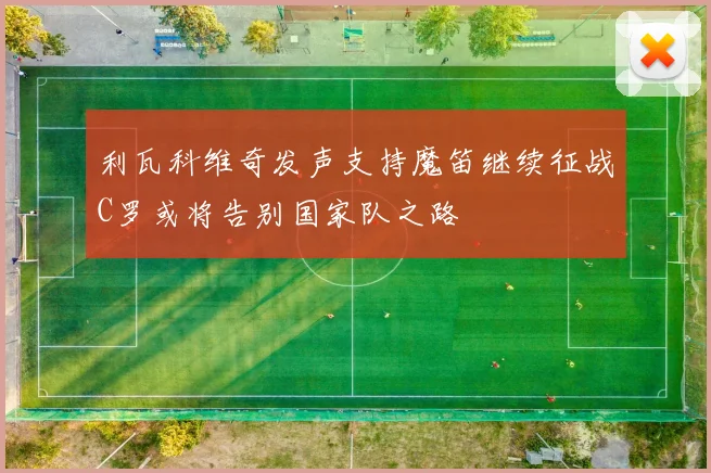 利瓦科维奇发声支持魔笛继续征战C罗或将告别国家队之路