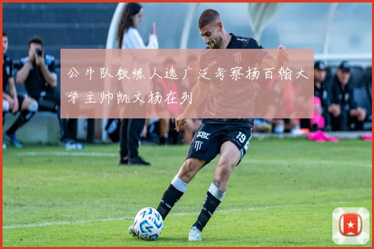公牛队教练人选广泛考察杨百翰大学主帅凯文杨在列