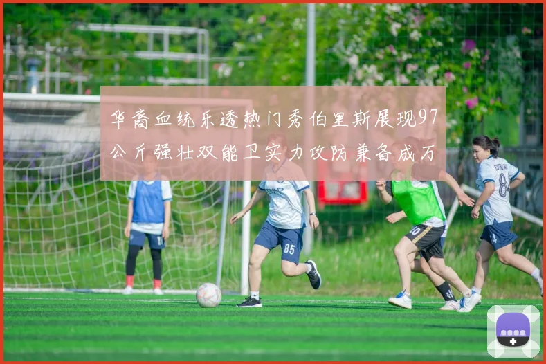 华裔血统乐透热门秀伯里斯展现97公斤强壮双能卫实力攻防兼备成万金油之选